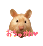 はむとむあげ①（個別スタンプ：30）