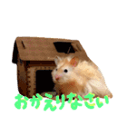 はむとむあげ①（個別スタンプ：33）