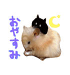 はむとむあげ①（個別スタンプ：39）