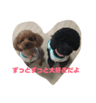 きなことおはぎ（個別スタンプ：6）