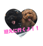 きなことおはぎ（個別スタンプ：7）