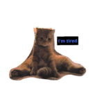 猫がしゃべる（個別スタンプ：3）