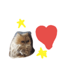 猫がしゃべる（個別スタンプ：8）
