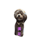 トイプ まーさん（個別スタンプ：2）