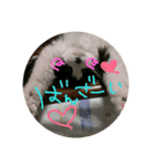 ほんにゃらこ（個別スタンプ：7）