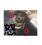 ダックスちゃんの日常2（個別スタンプ：25）