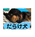 ダックスちゃんの日常2（個別スタンプ：28）