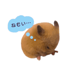 モコモコもこちゃん2。（個別スタンプ：8）