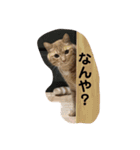 くろくりきーちゃん（個別スタンプ：6）