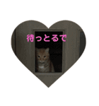 くろくりきーちゃん（個別スタンプ：16）