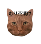くろくりきーちゃん（個別スタンプ：20）