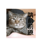 くろくりきーちゃん（個別スタンプ：23）