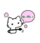 しゃべりたいうどん猫（個別スタンプ：5）