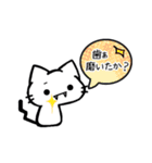 しゃべりたいうどん猫（個別スタンプ：9）