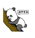 静かなるパンダ（個別スタンプ：12）