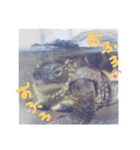 わが家のかめきちくん（個別スタンプ：15）