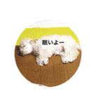 うちのらぶ❤︎（個別スタンプ：4）