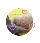 うちのらぶ❤︎（個別スタンプ：5）