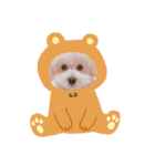 うちのらぶ❤︎（個別スタンプ：6）
