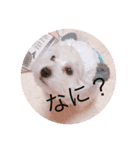 うちのらぶ❤︎（個別スタンプ：11）