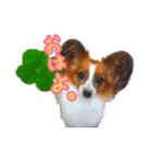 るーたんといっしょ。（個別スタンプ：1）