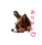 るーたんといっしょ。（個別スタンプ：2）