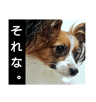 るーたんといっしょ。（個別スタンプ：9）