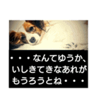 るーたんといっしょ。（個別スタンプ：10）