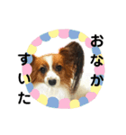 るーたんといっしょ。（個別スタンプ：11）