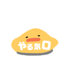 もちもちヒヨコ（個別スタンプ：16）