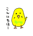 ピーちゃん 基本セット（個別スタンプ：1）