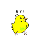ピーちゃん 基本セット（個別スタンプ：16）
