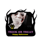 KT-eko-Halloween（個別スタンプ：1）