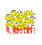わりと残念なトリ（個別スタンプ：13）