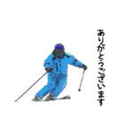 スキーシーン ski（個別スタンプ：1）