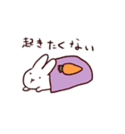 ストロボうさぎ（個別スタンプ：2）