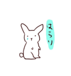 ストロボうさぎ（個別スタンプ：14）