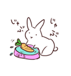 ストロボうさぎ（個別スタンプ：20）