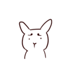 ストロボうさぎ（個別スタンプ：21）