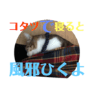 ココと仲間たち②（個別スタンプ：7）
