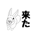moka＆friends（個別スタンプ：15）
