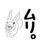 moka＆friends（個別スタンプ：17）