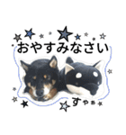 黒柴J vol.1（個別スタンプ：7）