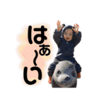 いつもニコニコにこまるくん（個別スタンプ：33）
