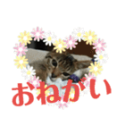 なののあのスタンプ。（個別スタンプ：6）