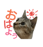 なののあのスタンプ。（個別スタンプ：14）