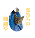 なののあのスタンプ。（個別スタンプ：33）