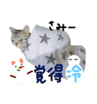 ラプンツェルちゃん2（個別スタンプ：13）