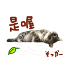 ラプンツェルちゃん2（個別スタンプ：20）