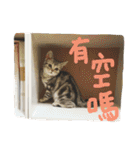 ラプンツェルちゃん2（個別スタンプ：24）